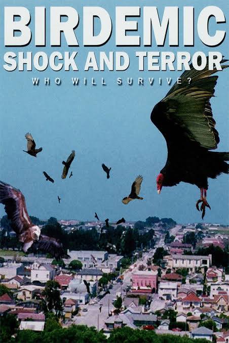 Birdemic: Shock and Terror poster